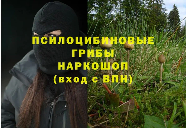 ALPHA PVP Арсеньев