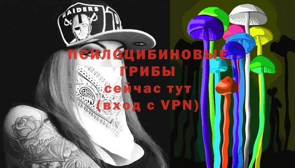 ALPHA PVP Арсеньев