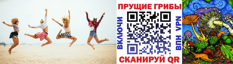 Псилоцибиновые грибы MAGIC MUSHROOMS  MEGA маркетплейс  маркетплейс Telegram  Качканар 